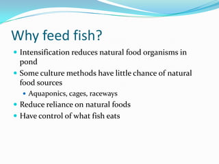 Why feed fish?
 Intensification reduces natural food organisms in
pond
 Some culture methods have little chance of natural
food sources
 Aquaponics, cages, raceways
 Reduce reliance on natural foods
 Have control of what fish eats
 