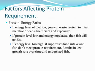 Factors Affecting Protein
Requirement
 Protein: Energy Ratio:
 If energy level of diet low, you will waste protein to meet
metabolic needs. Inefficient and expensive.
 If protein level low and energy moderate, then fish will
get fat.
 If energy level too high, it suppresses food intake and
fish don’t meet protein requirement. Results in low
growth rate over time and undersized fish.
 