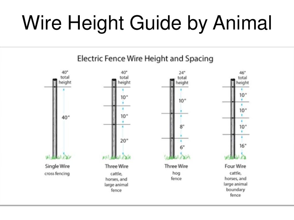 Electric Fence Buying Guide