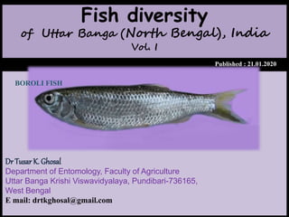 Fish diversity
of Uttar Banga (North Bengal), India
Vol. I
Published : 21.01.2020
Dr Tusar K. Ghosal
Department of Entomology, Faculty of Agriculture
Uttar Banga Krishi Viswavidyalaya, Pundibari-736165,
West Bengal
E mail: drtkghosal@gmail.com
©
BOROLI FISH
 