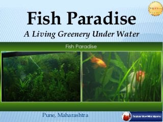 Pune, Maharashtra
Fish Paradise
A Living Greenery Under Water
 