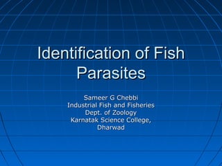 Identification of FishIdentification of Fish
ParasitesParasites
Sameer G ChebbiSameer G Chebbi
Industrial Fish and FisheriesIndustrial Fish and Fisheries
Dept. of ZoologyDept. of Zoology
Karnatak Science College,Karnatak Science College,
DharwadDharwad
 