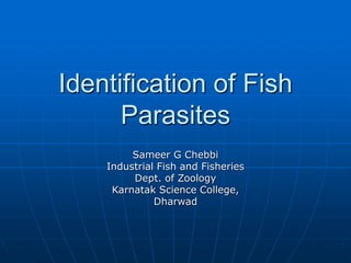 Identification of Fish
Parasites
Sameer G Chebbi
Industrial Fish and Fisheries
Dept. of Zoology
Karnatak Science College,
Dharwad
 