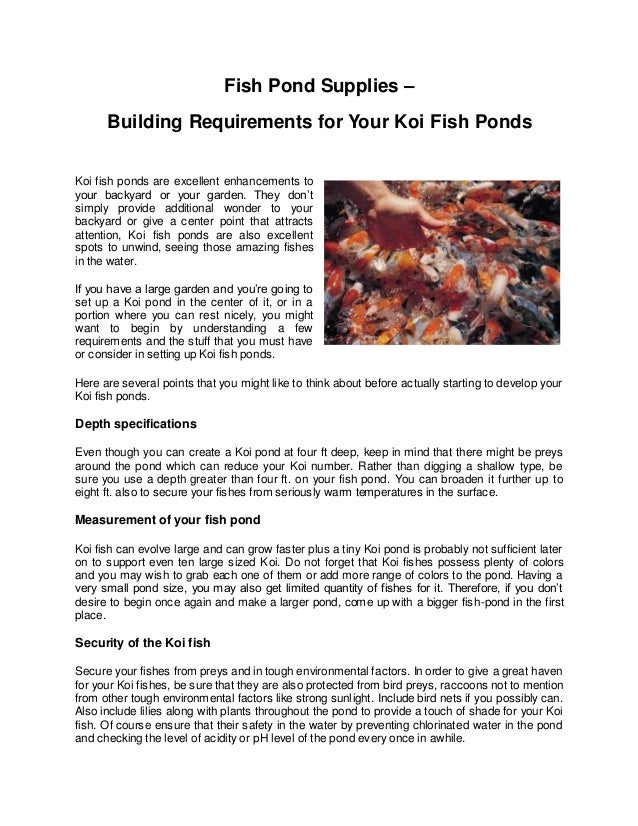 koi pond supplies