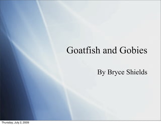 Goatfish and Gobies

                                By Bryce Shields




Thursday, July 2, 2009
 