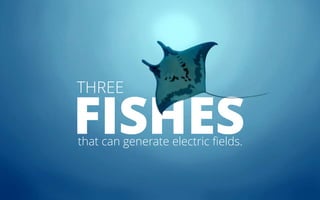 FISHESthat can generate electric fields.
THREE
 