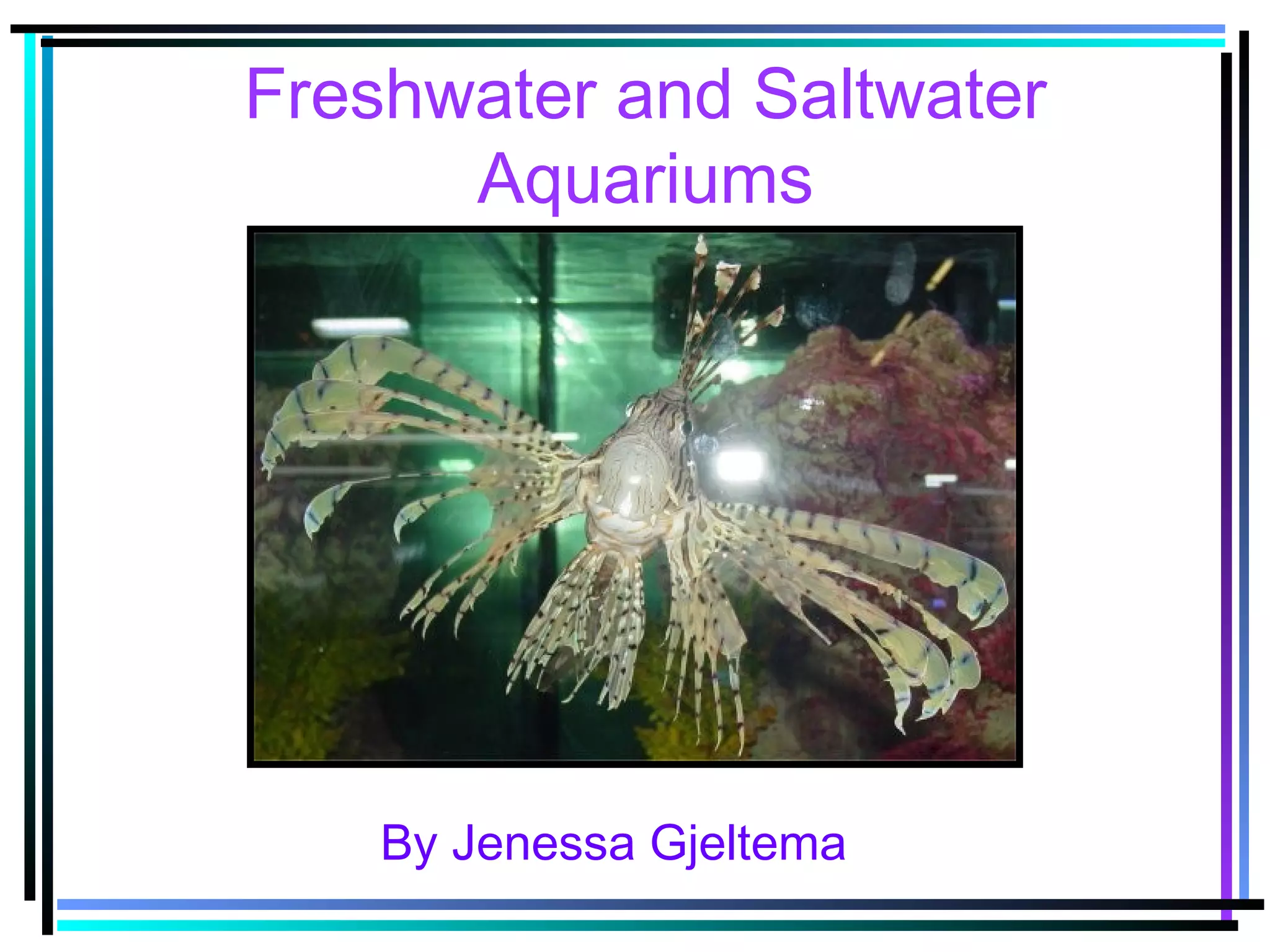 Freshwater and Saltwater
Aquariums
By Jenessa Gjeltema
 