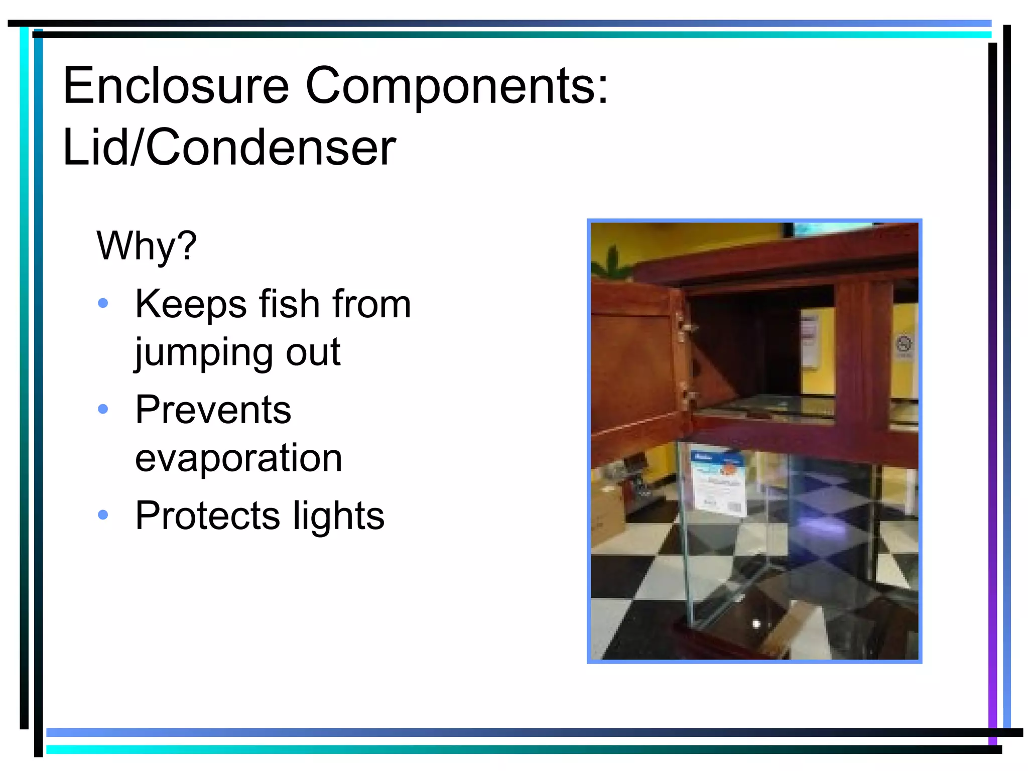 Enclosure Components:
Lid/Condenser
Why?
• Keeps fish from
jumping out
• Prevents
evaporation
• Protects lights
 