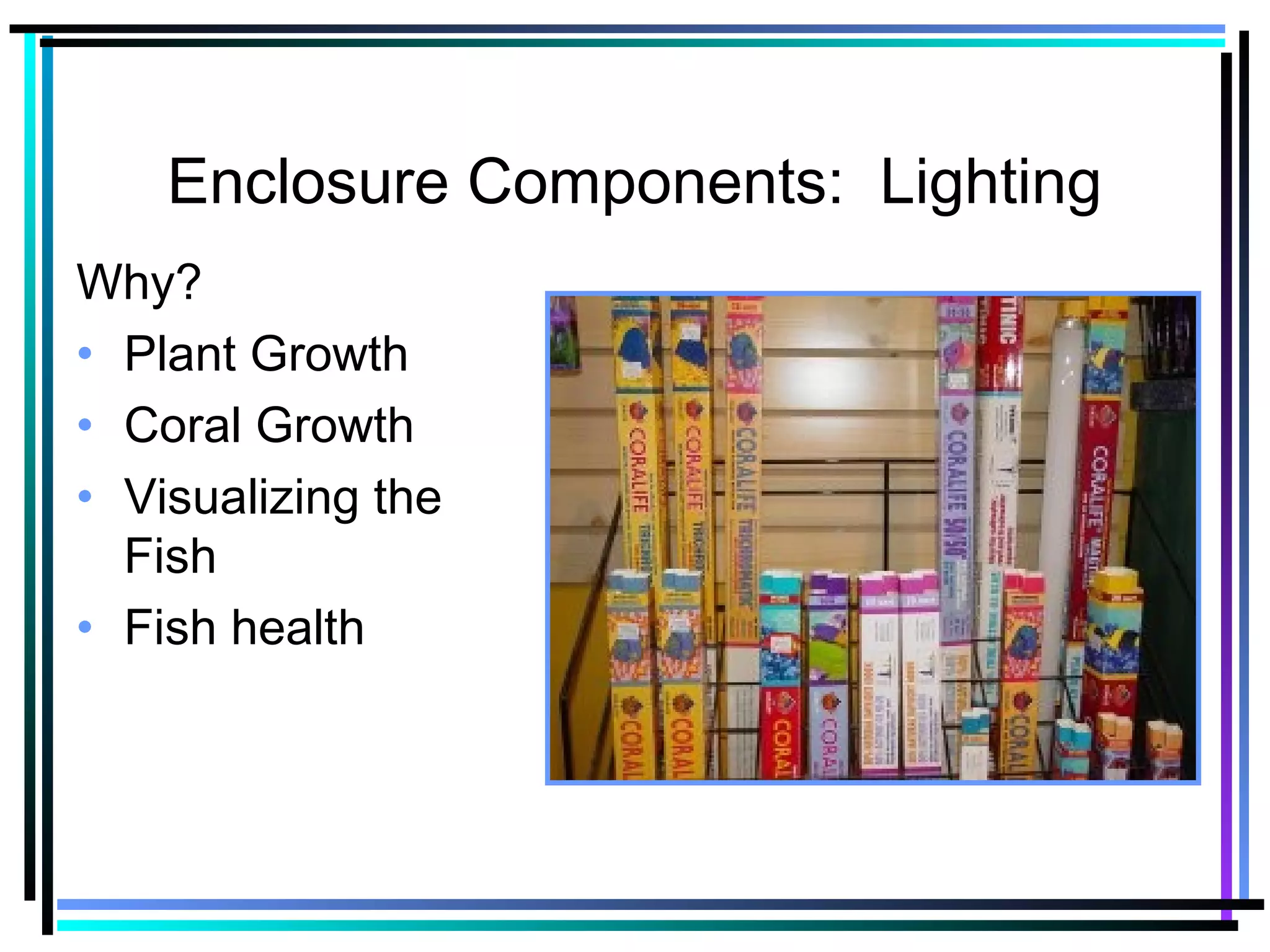 Enclosure Components: Lighting
Why?
• Plant Growth
• Coral Growth
• Visualizing the
Fish
• Fish health
 