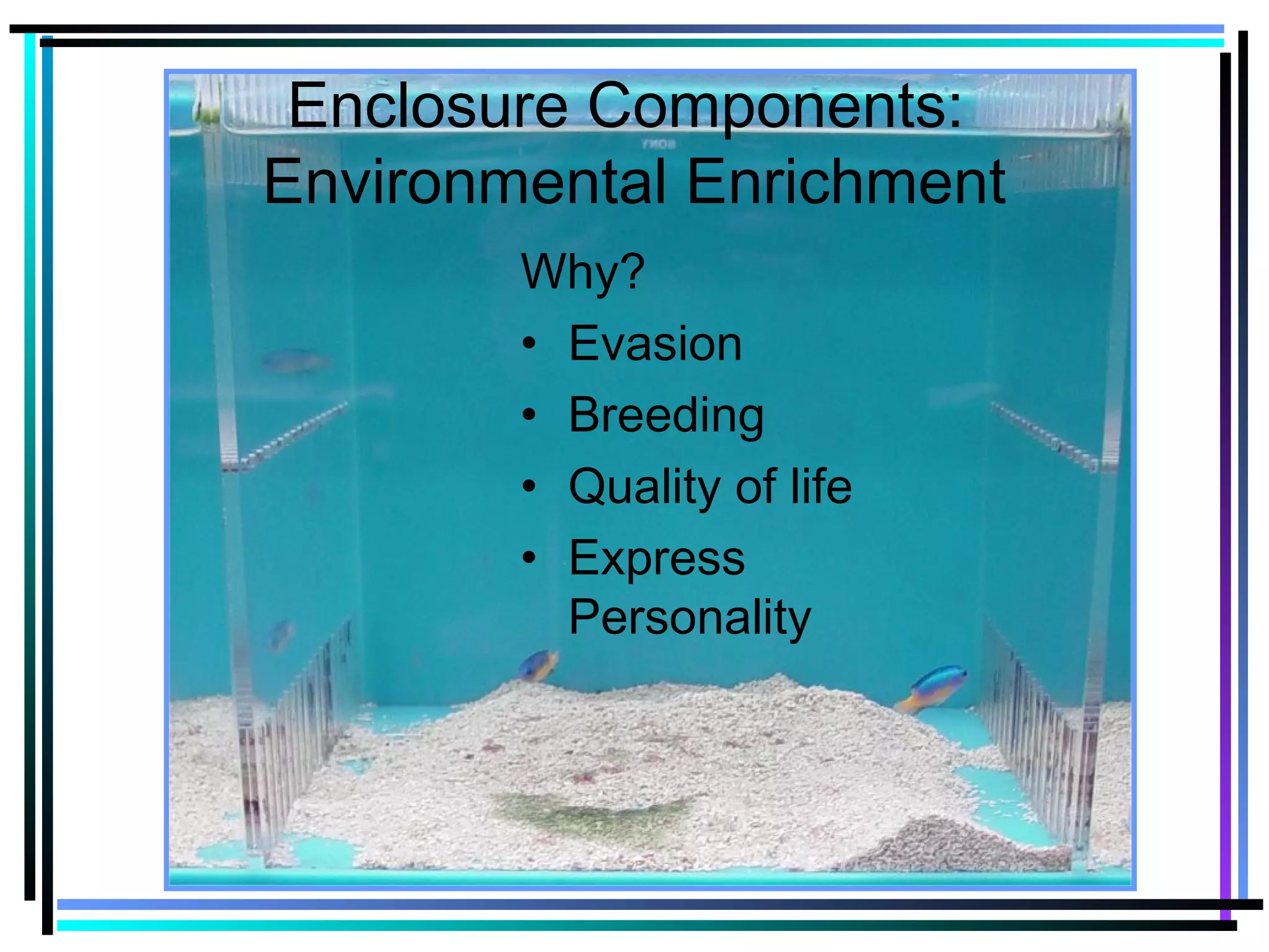 Enclosure Components:
Environmental Enrichment
Why?
• Evasion
• Breeding
• Quality of life
• Express
Personality
 