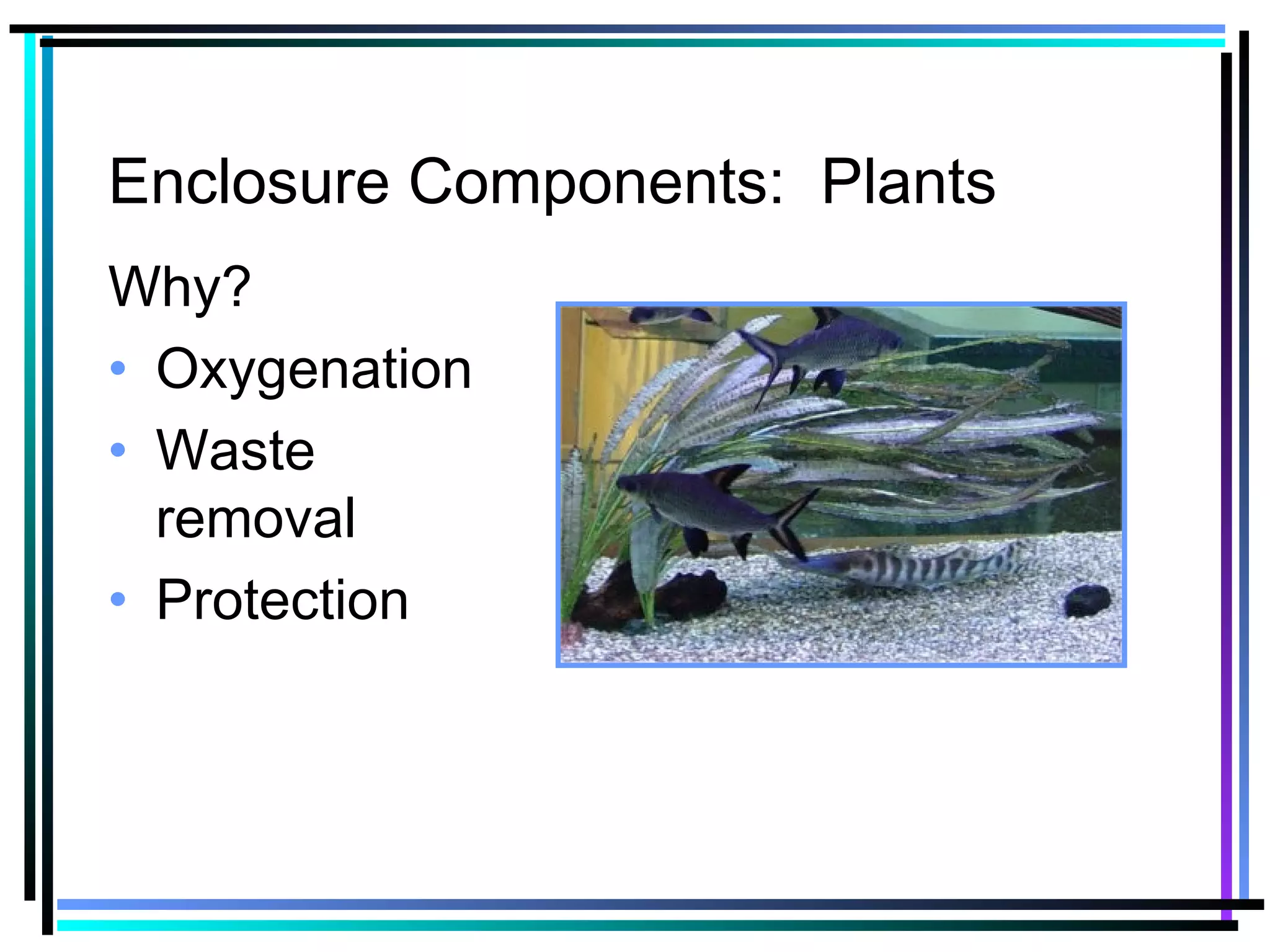 Enclosure Components: Plants
Why?
• Oxygenation
• Waste
removal
• Protection
 