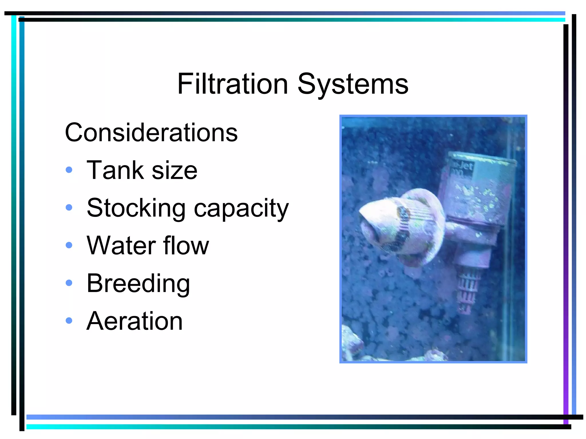 Filtration Systems
Considerations
• Tank size
• Stocking capacity
• Water flow
• Breeding
• Aeration
 