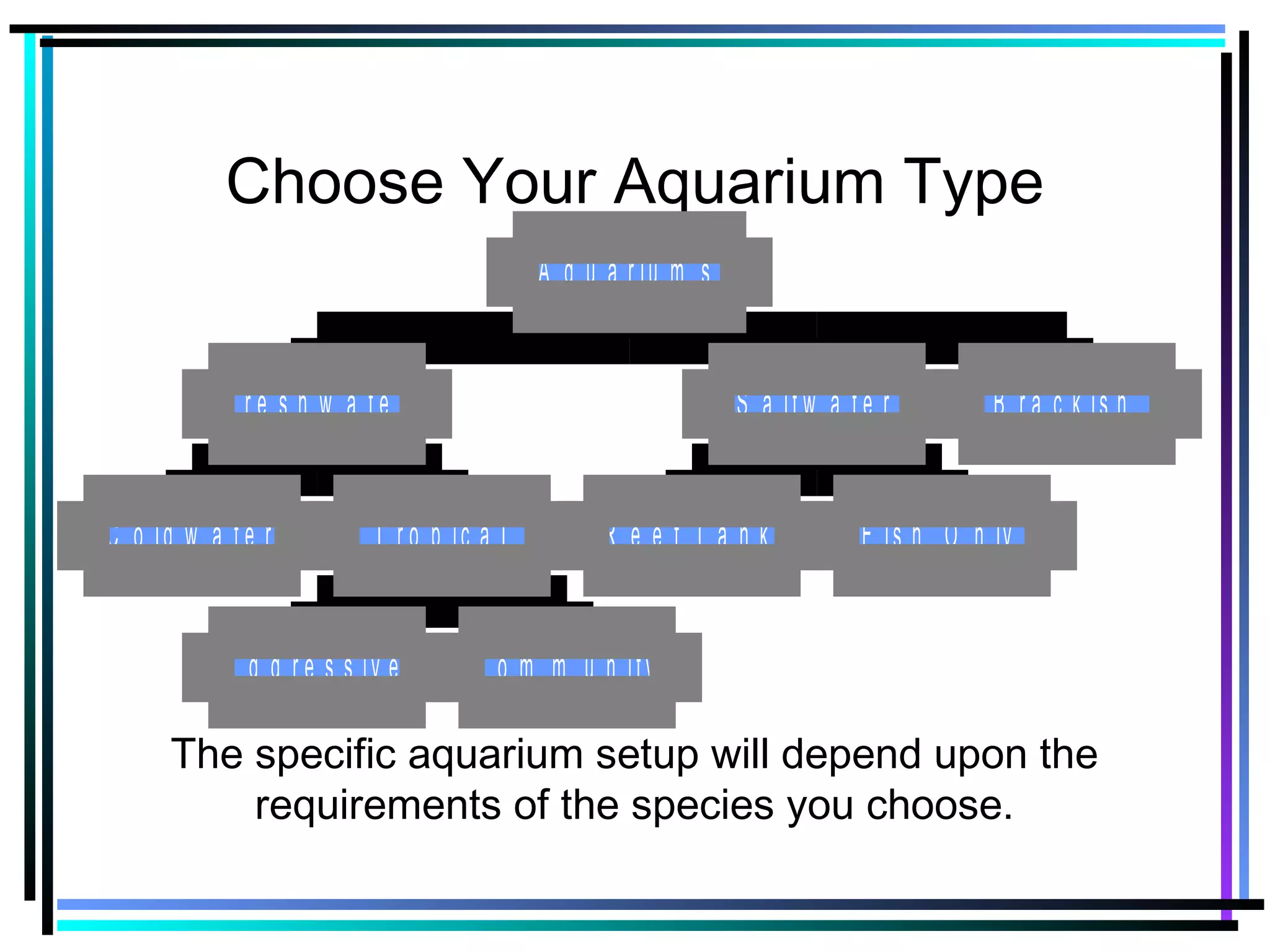 Choose Your Aquarium Type
C o ld w a t e r
A g g r e s s iv e C o m m u n ity
T r o p ic a l
F r e s h w a t e r
R e e f T a n k F is h O n ly
S a lt w a t e r B r a c k is h
A q u a r iu m s
The specific aquarium setup will depend upon the
requirements of the species you choose.
 
