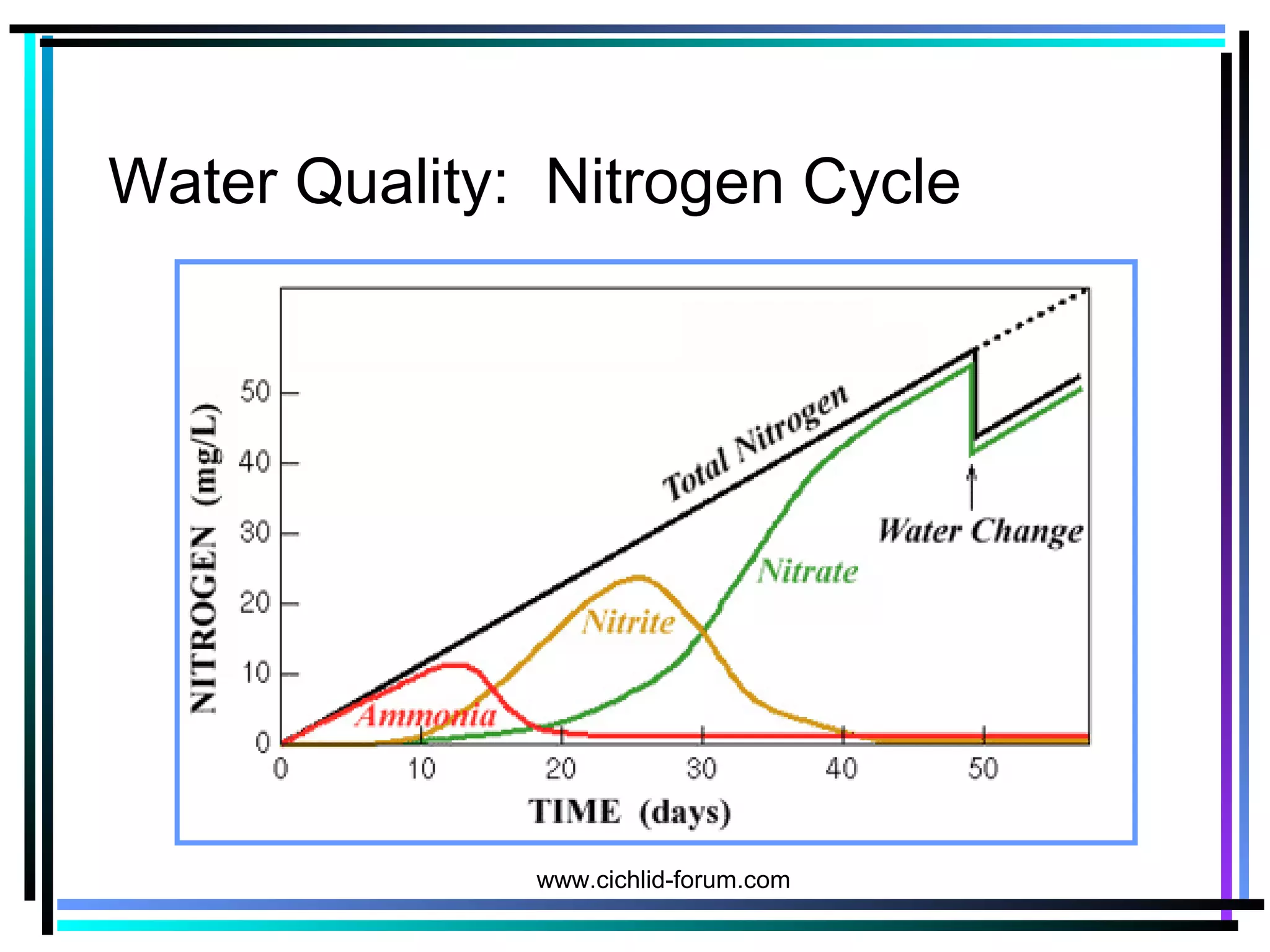 Water Quality: Nitrogen Cycle
www.cichlid-forum.com
 
