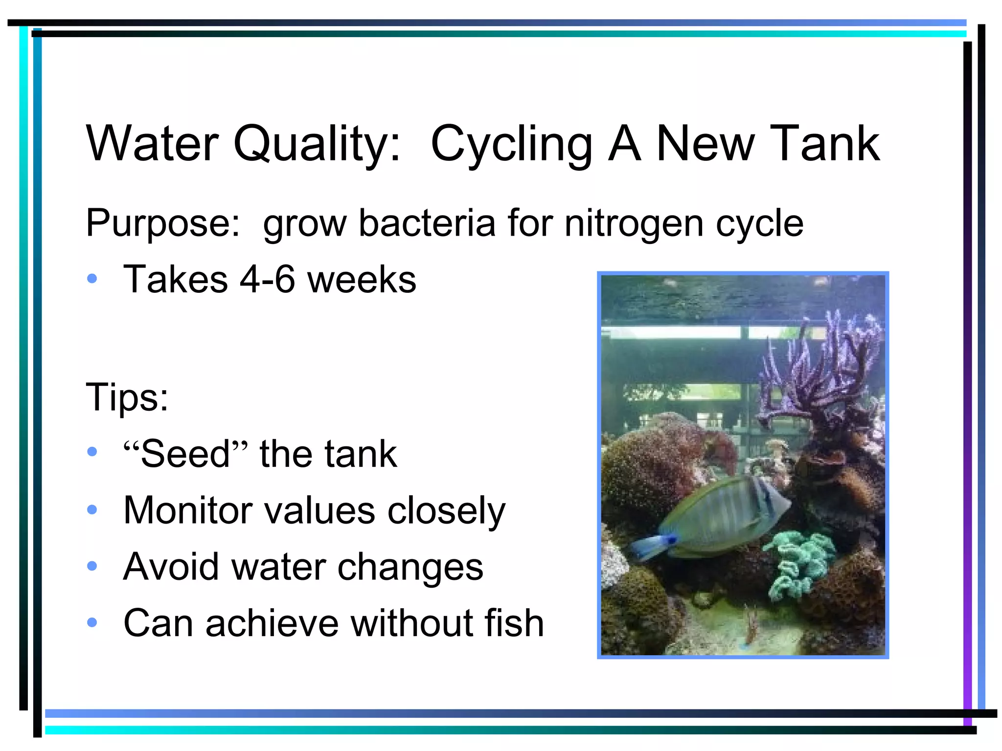 Water Quality: Cycling A New Tank
Purpose: grow bacteria for nitrogen cycle
• Takes 4-6 weeks
Tips:
• “Seed” the tank
• Monitor values closely
• Avoid water changes
• Can achieve without fish
 