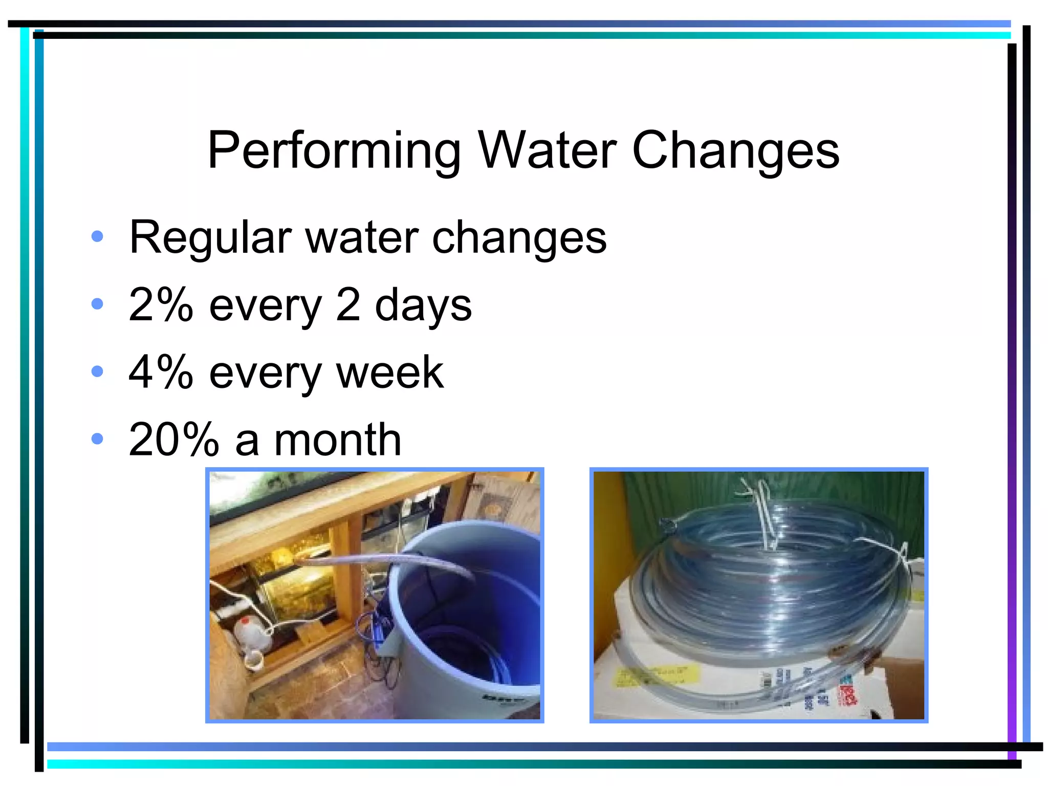 Performing Water Changes
• Regular water changes
• 2% every 2 days
• 4% every week
• 20% a month
 