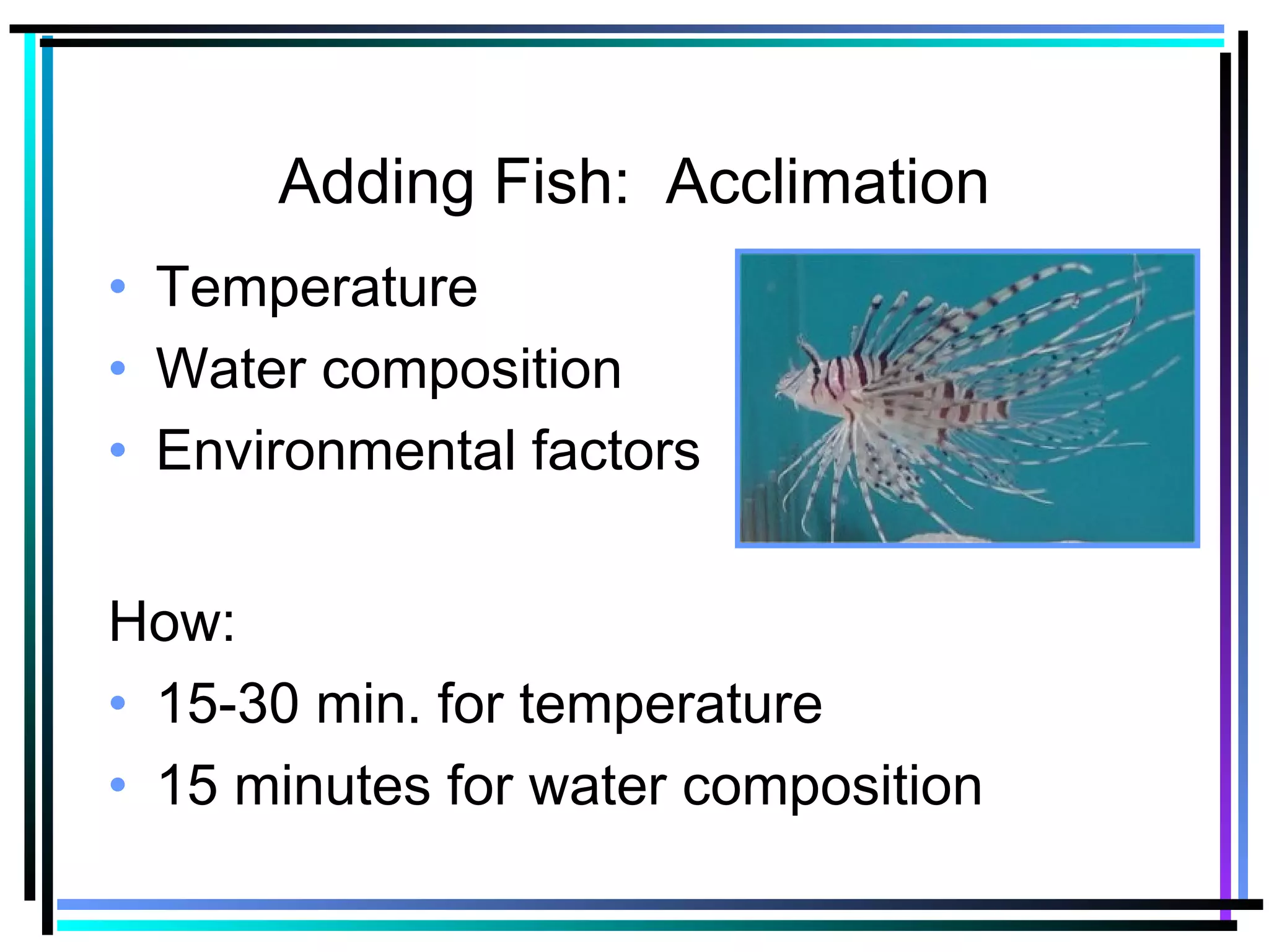 Adding Fish: Acclimation
• Temperature
• Water composition
• Environmental factors
How:
• 15-30 min. for temperature
• 15 minutes for water composition
 