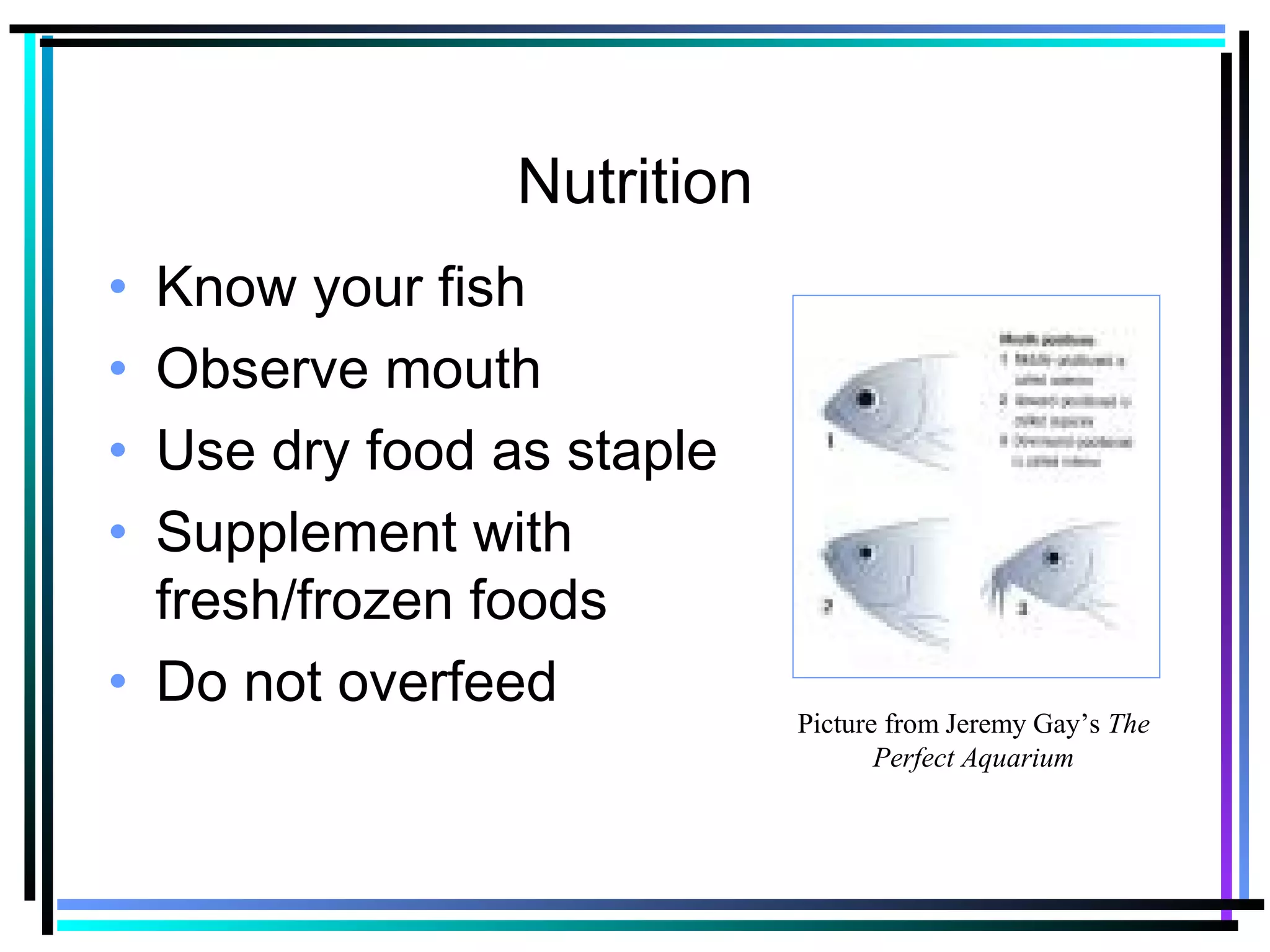 Nutrition
• Know your fish
• Observe mouth
• Use dry food as staple
• Supplement with
fresh/frozen foods
• Do not overfeed
Picture from Jeremy Gay’s The
Perfect Aquarium
 