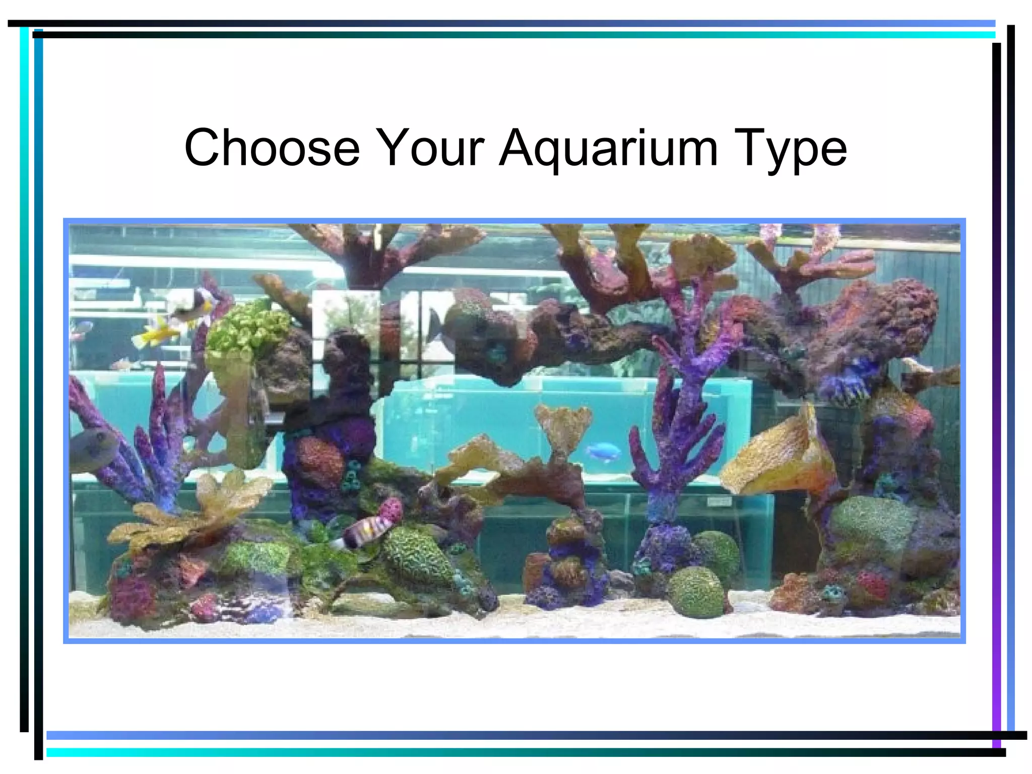 Choose Your Aquarium Type
 