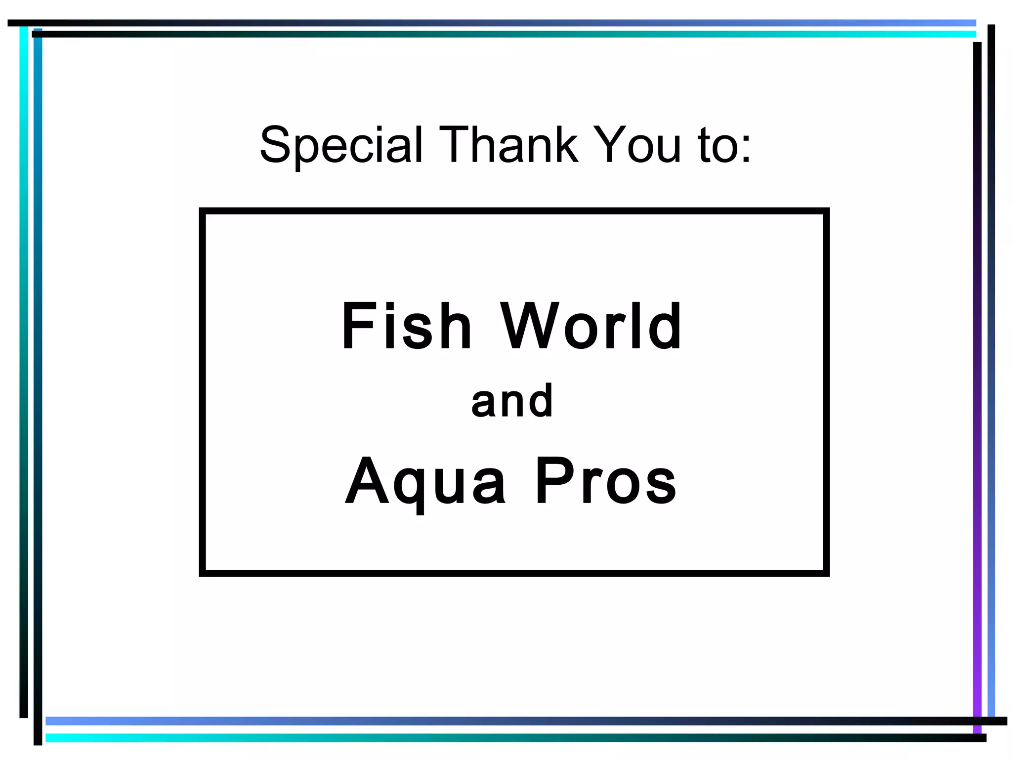 Special Thank You to:
Fish World
and
Aqua Pros
 