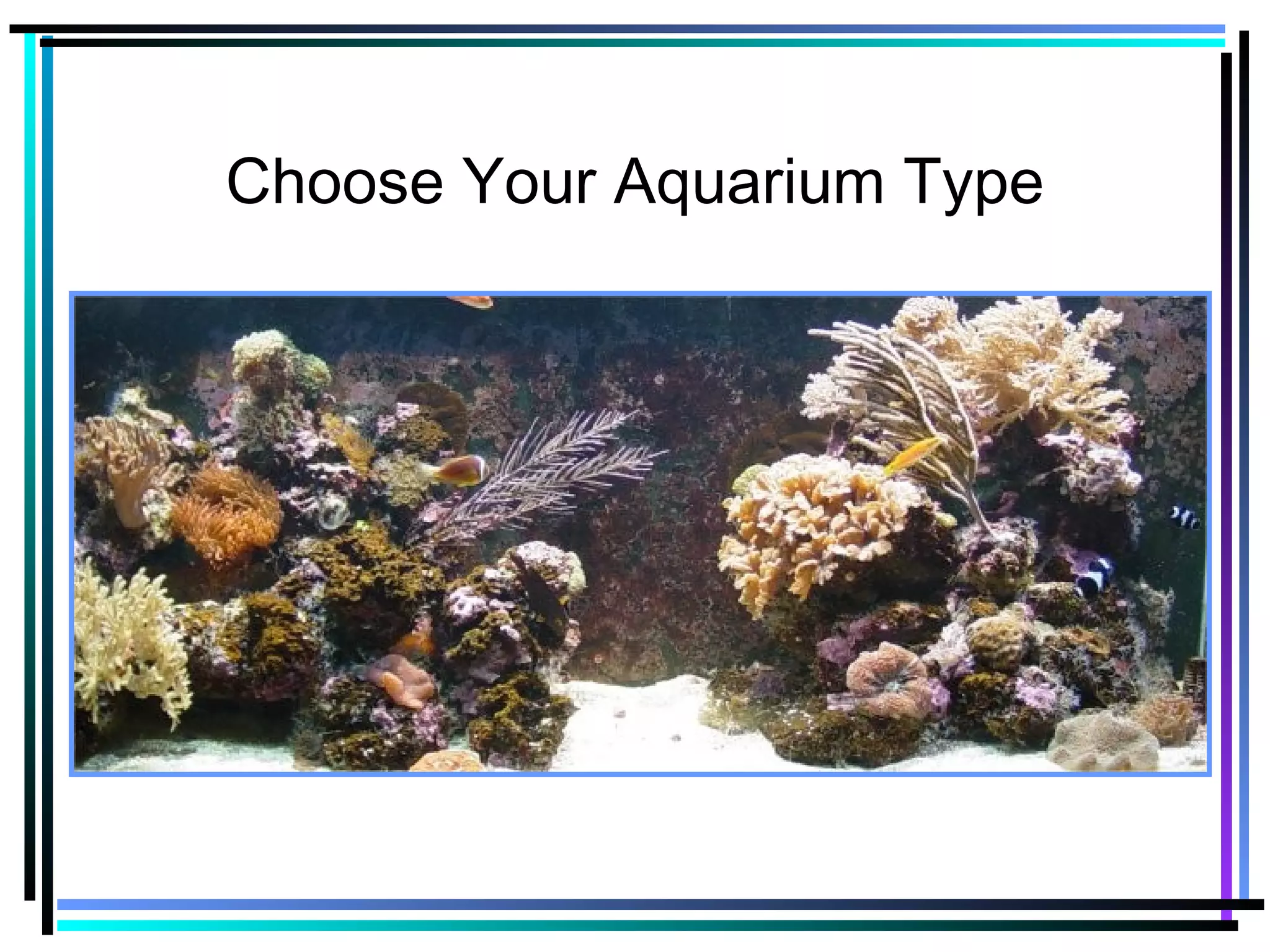 Choose Your Aquarium Type
 