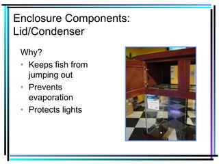 Enclosure Components:
Lid/Condenser
Why?
• Keeps fish from
jumping out
• Prevents
evaporation
• Protects lights
 