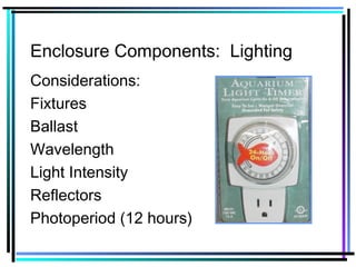 Enclosure Components: Lighting
Considerations:
Fixtures
Ballast
Wavelength
Light Intensity
Reflectors
Photoperiod (12 hours)
 