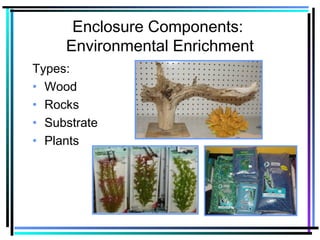 Enclosure Components:
Environmental Enrichment
Types:
• Wood
• Rocks
• Substrate
• Plants
 