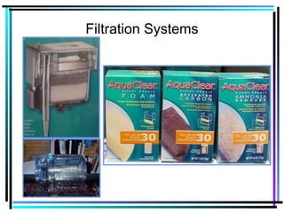 Filtration Systems
 