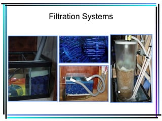 Filtration Systems
 