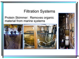 Filtration Systems
Protein Skimmer: Removes organic
material from marine systems
 