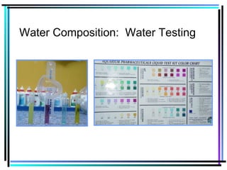 Water Composition: Water Testing
 