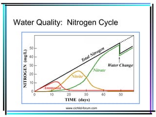 Water Quality: Nitrogen Cycle
www.cichlid-forum.com
 