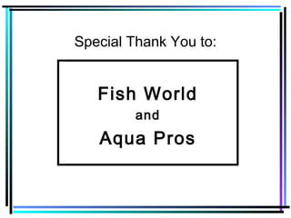Special Thank You to:
Fish World
and
Aqua Pros
 