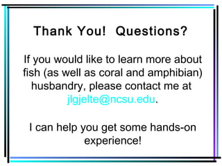 Thank You! Questions?
If you would like to learn more about
fish (as well as coral and amphibian)
husbandry, please contact me at
jlgjelte@ncsu.edu.
I can help you get some hands-on
experience!
 