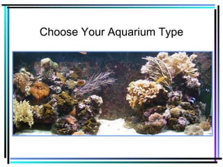 Choose Your Aquarium Type
 