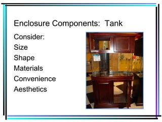 Enclosure Components: Tank
Consider:
Size
Shape
Materials
Convenience
Aesthetics
 