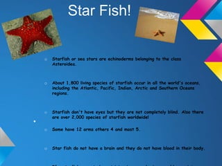 Star Fish!


    o   Starfish or sea stars are echinoderms belonging to the class
        Asteroidea.



    o   About 1,800 living species of starfish occur in all the world's oceans,
        including the Atlantic, Pacific, Indian, Arctic and Southern Oceans
        regions.



    o   Starfish don't have eyes but they are not completely blind. Also there
        are over 2,000 species of starfish worldwide!
•
    o   Some have 12 arms others 4 and most 5.



    o   Star fish do not have a brain and they do not have blood in their body.
 