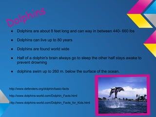 ph ins
D ol
 ●   Dolphins are about 8 feet long and can way in between 440- 660 lbs

 ●   Dolphins can live up to 80 years

 ●   Dolphins are found world wide

 ●   Half of a dolphin's brain always go to sleep the other half stays awake to
     prevent drowning

 ●   dolphins swim up to 260 m. below the surface of the ocean.



http://www.defenders.org/dolphin/basic-facts

http://www.dolphins-world.com/Dolphin_Facts.html

http://www.dolphins-world.com/Dolphin_Facts_for_Kids.html
 