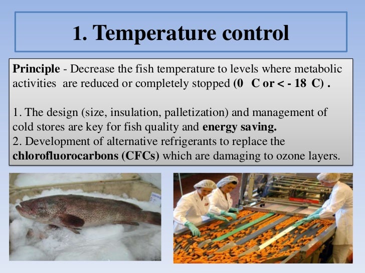 Fish processing