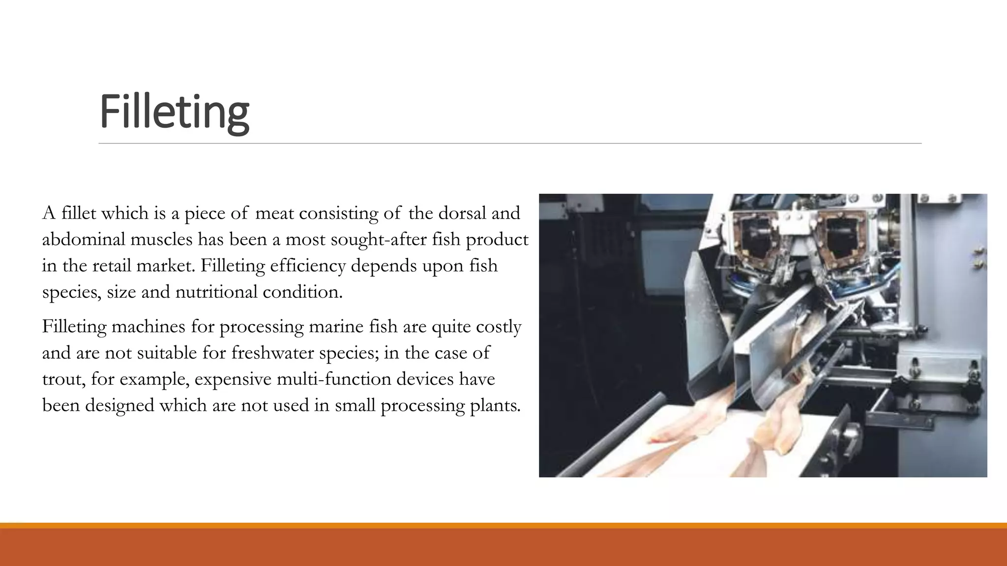 Filleting
A fillet which is a piece of meat consisting of the dorsal and
abdominal muscles has been a most sought-after fish product
in the retail market. Filleting efficiency depends upon fish
species, size and nutritional condition.
Filleting machines for processing marine fish are quite costly
and are not suitable for freshwater species; in the case of
trout, for example, expensive multi-function devices have
been designed which are not used in small processing plants.
 