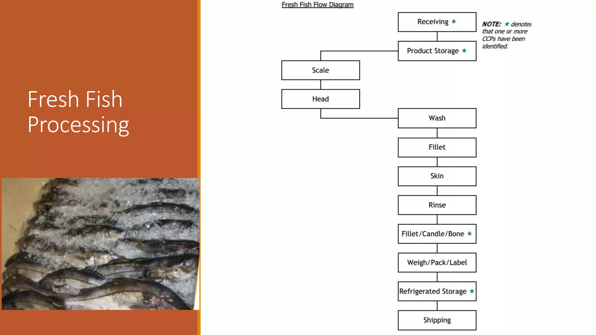 Fresh Fish
Processing
 