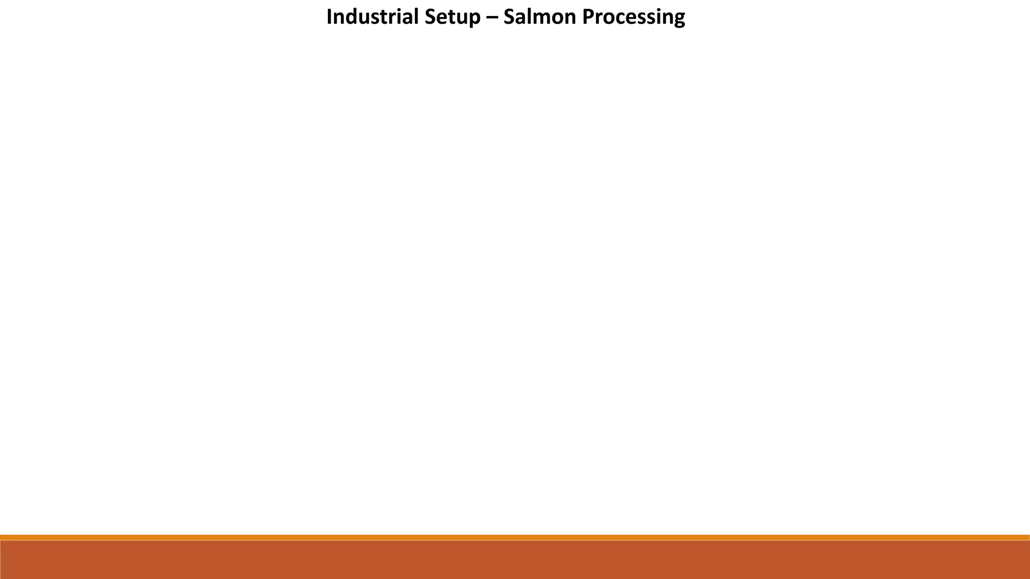 Industrial Setup – Salmon Processing
 