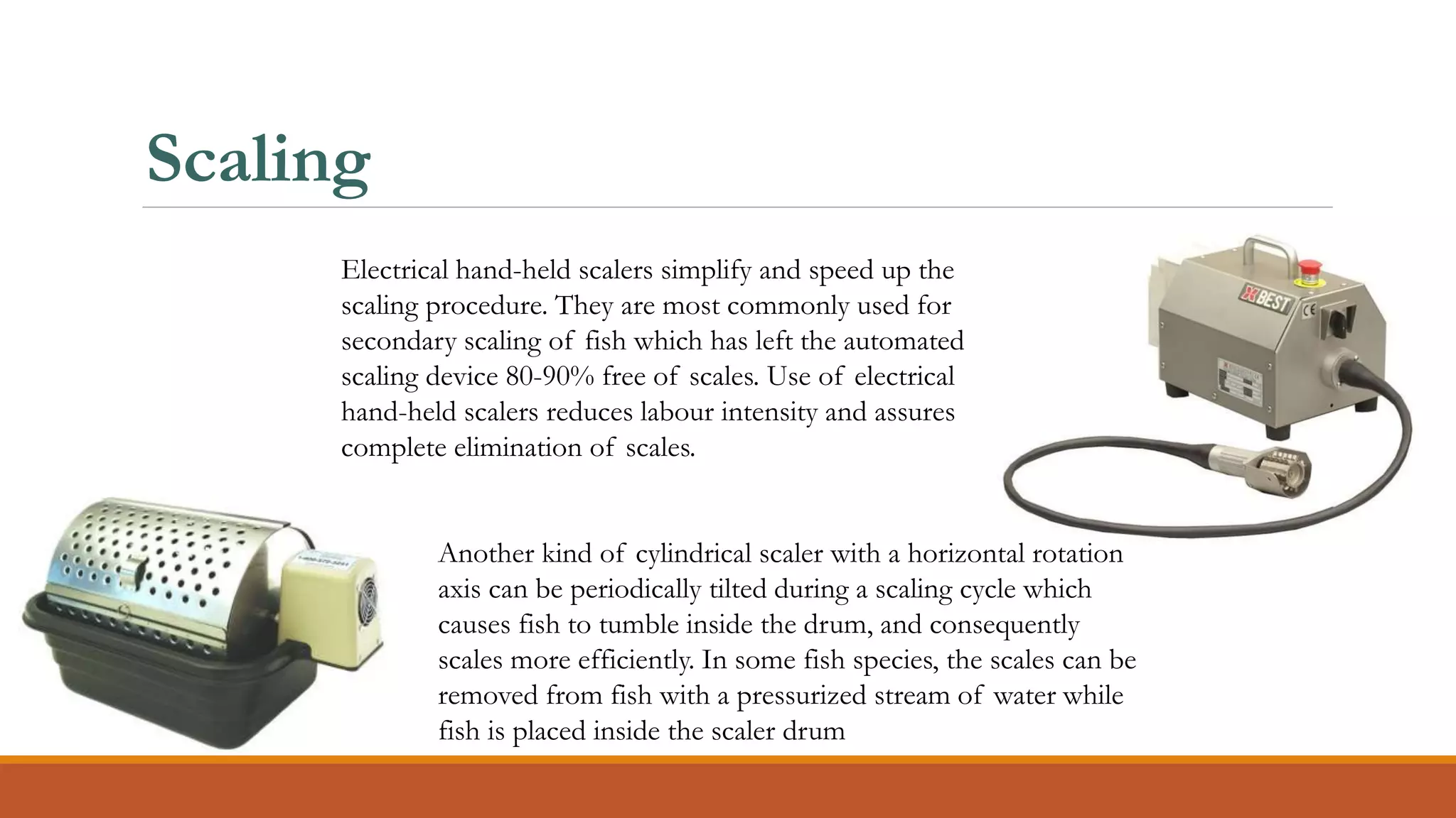 Electrical hand-held scalers simplify and speed up the
scaling procedure. They are most commonly used for
secondary scaling of fish which has left the automated
scaling device 80-90% free of scales. Use of electrical
hand-held scalers reduces labour intensity and assures
complete elimination of scales.
Another kind of cylindrical scaler with a horizontal rotation
axis can be periodically tilted during a scaling cycle which
causes fish to tumble inside the drum, and consequently
scales more efficiently. In some fish species, the scales can be
removed from fish with a pressurized stream of water while
fish is placed inside the scaler drum
Scaling
 