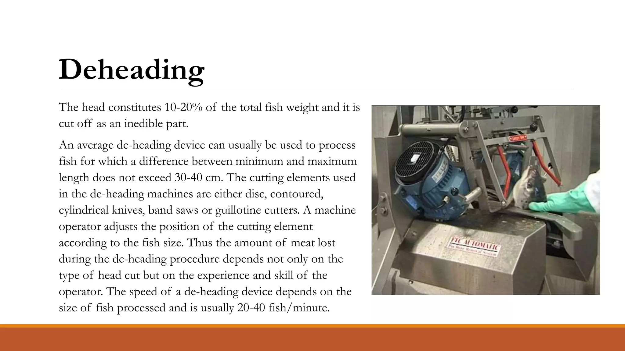 The head constitutes 10-20% of the total fish weight and it is
cut off as an inedible part.
An average de-heading device can usually be used to process
fish for which a difference between minimum and maximum
length does not exceed 30-40 cm. The cutting elements used
in the de-heading machines are either disc, contoured,
cylindrical knives, band saws or guillotine cutters. A machine
operator adjusts the position of the cutting element
according to the fish size. Thus the amount of meat lost
during the de-heading procedure depends not only on the
type of head cut but on the experience and skill of the
operator. The speed of a de-heading device depends on the
size of fish processed and is usually 20-40 fish/minute.
Deheading
 