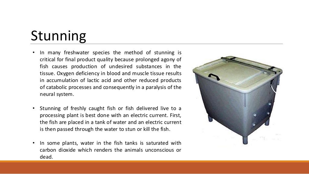 HACCP Implementation in Fish Processing Industry