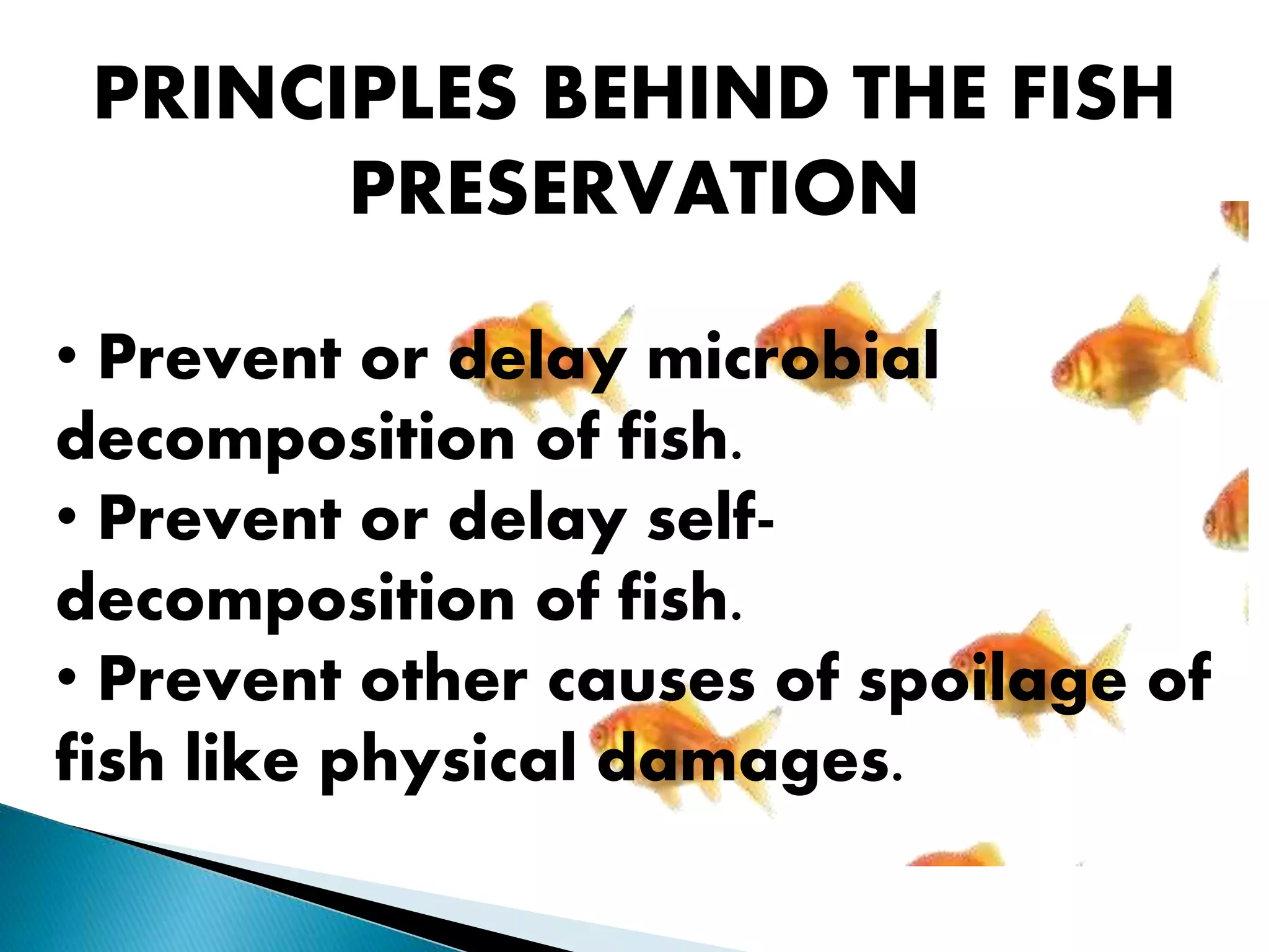 Fish processing | PPTX