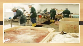 Fish Processing Module Fish Processing.pptx