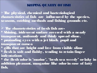 KEEPING QUALITY OFFISH
 The physical, chemical and bacteriological
characteristics of fish are influenced by the species,
seasons, catching methods and fishing grounds etc.
 The characteristics of fresh fish are-
 Shining, iridescent surface covered with a nearly
transparent, uniformly and thinly spread slime.
 protruding eyes with a jet black pupil and
transparent cornea
 gills that are bright and free from visible slime
 flesh is soft and flabby, tending to retain finger
indentations
 the flesh odoris ‘marine’, ‘fresh sea weedy’ orlaky in
addition pleasant, margarine like odorin case of fatty
fish.
 