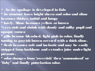  As the spoilage is developed in fish-
 its structure loses bright sheen and colorand slime
becomes thicker, turbid and lumpy
 lately, Slime becomes yellow orbrown
eyes sink and shrink with cloudy and milky pupil and
opaque cornea
 gills become bleached, light pink in color, finally
turning to grayish brown covered with a thick slime.
 flesh becomes soft and inelastic and may be easily
stripped from backbone and extrudes juice underlight
pressure.
 odorchanges from ‘sweetish’ then ‘ammoniacal’ or
‘fishy’ and finally putrefaction odor.
 